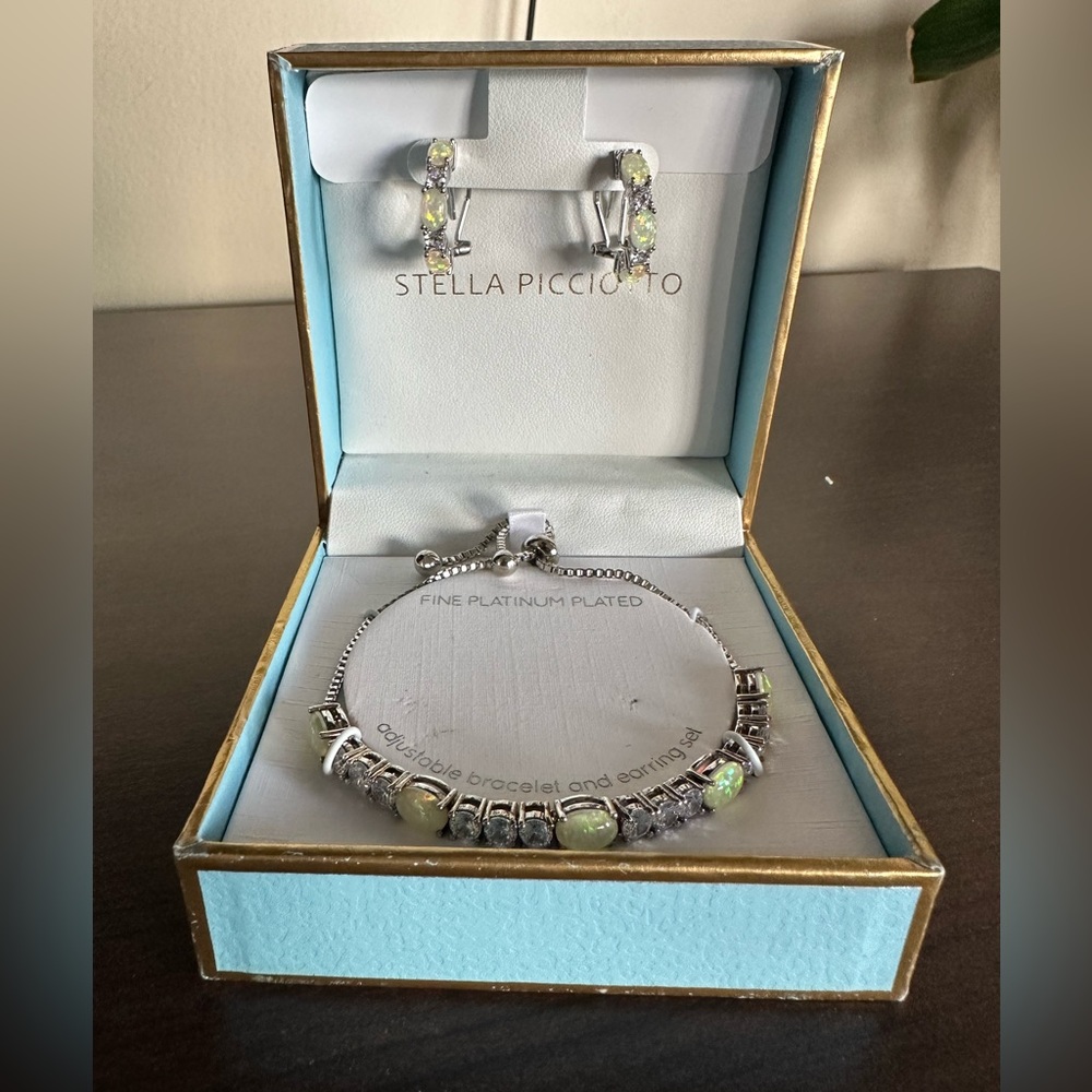 Bracelet and earrings set